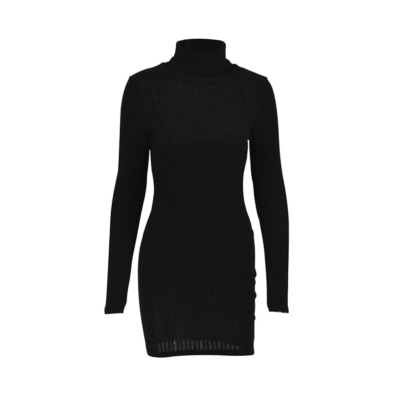 Turtleneck Bodycon