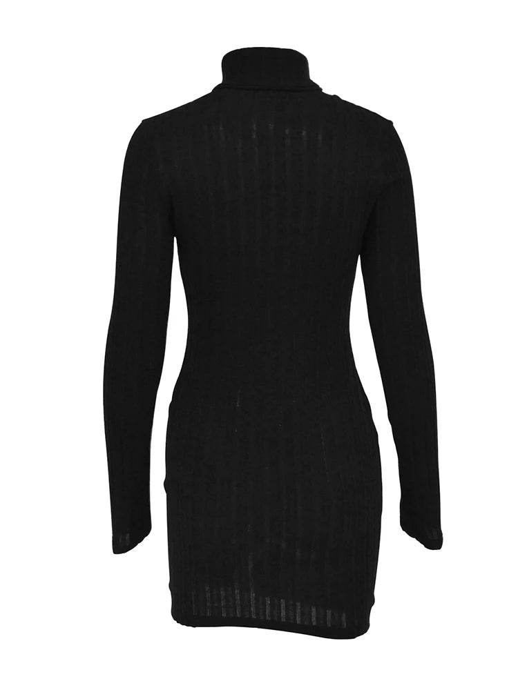 Turtleneck Bodycon